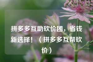 拼多多互助砍价团，省钱新选择！（拼多多互帮砍价）  第1张