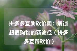 拼多多互助砍价团：解锁超值购物的新途径（拼多多互帮砍价）  第1张