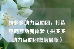 拼多多助力互助团，打造电商互助新体验（拼多多助力互助团微信最新）  第1张