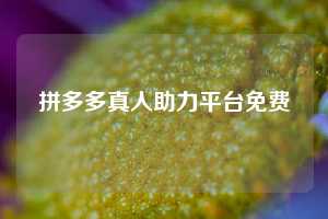 拼多多真人助力平台免费  第1张