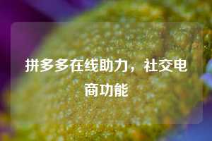 拼多多在线助力，社交电商功能  第1张