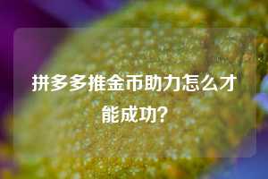 拼多多推金币助力怎么才能成功？  拼多多助力 拼多多推金币 拼多多推金币助力 拼多多助力平台 拼多多助力项目 拼多多助力网站 赚钱项目 暑假赚钱项目 拼多多赚钱 第1张